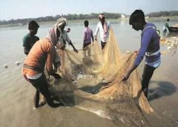 Ghana’s Fisheries Sustenance Should Be in The Hands of Indigenes, Not Foreigners- NAFAG 2 Fishermen dragging their net