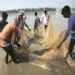 Ghana’s Fisheries Sustenance Should Be in The Hands of Indigenes, Not Foreigners- NAFAG 12 Fishermen dragging their net