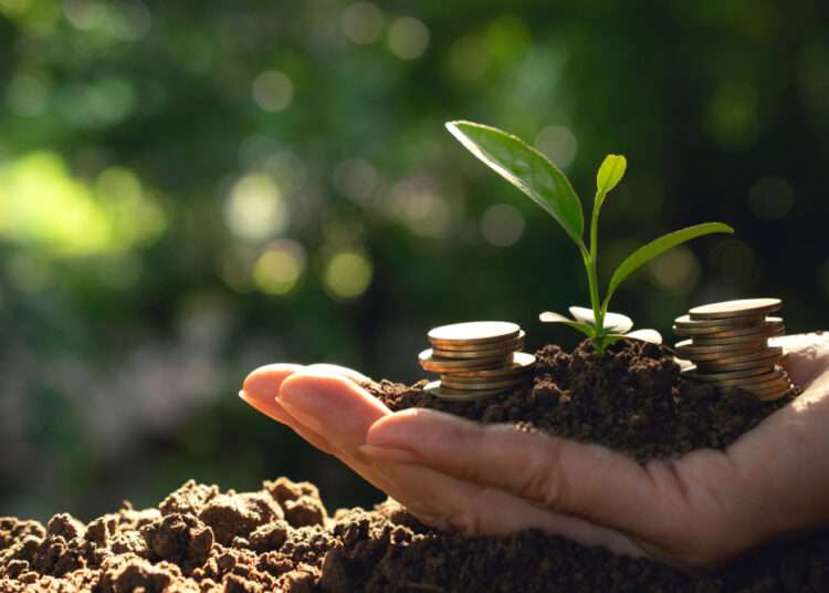 Africa Emergency Food Production Plan