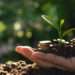 AfDB calls on the US to Support its ‘Africa Emergency Food Production Plan’ Initiative 12 Africa Emergency Food Production Plan