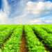 Good agricultural practices