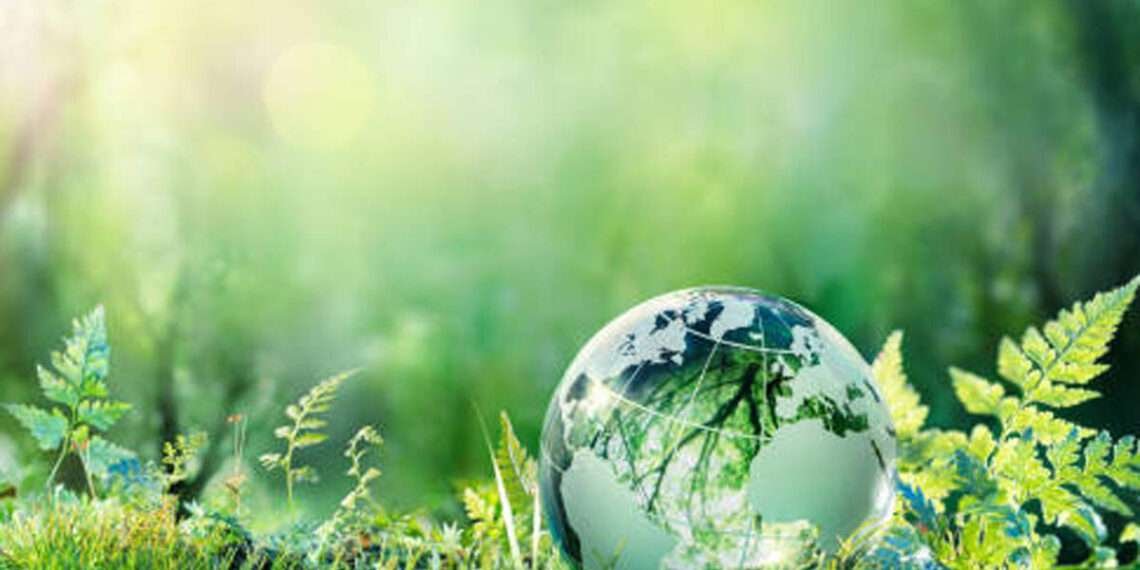 The Global Center on Adaptation to help GIIF get accreditation to the Green Climate Fund 1 Green fund