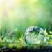 The Global Center on Adaptation to help GIIF get accreditation to the Green Climate Fund 12 Green fund