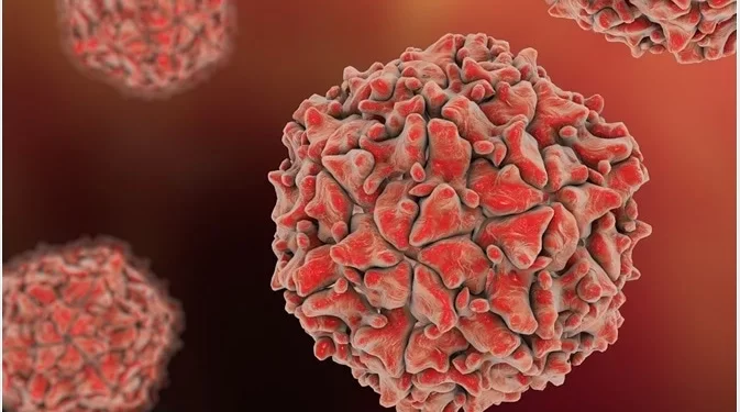 A microscopic image of Polio virus