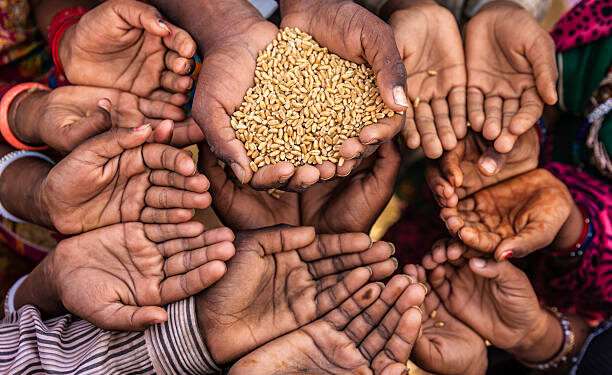 2022, year of hunger