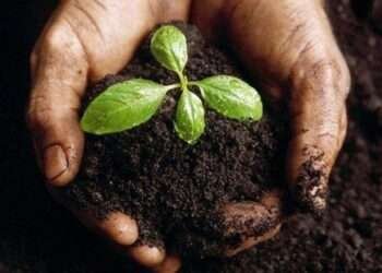 MoFA to Partner Local Fertilizer Producers- Domestic Fertilizer Shortage to Avert 2 Organic fertilizer