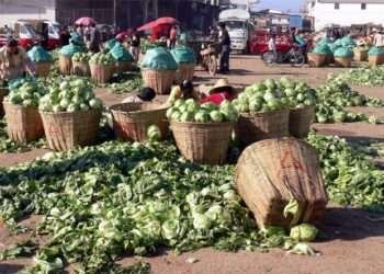 Poor Transportation Network and Storage Facilities, Cause of Ghana’s Failed Agriculture System- CSIR 1 Poor Transportation Network and Storage Facilities, Cause of Ghana’s Failed Agriculture System- CSIR