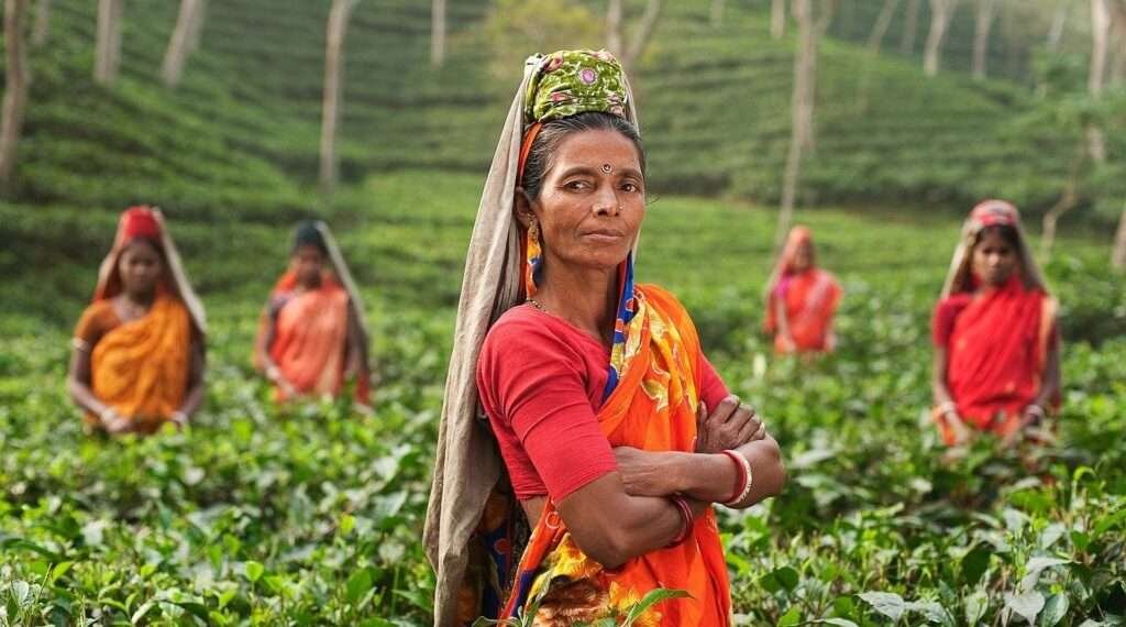 Women on the tea field