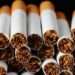 Tobacco Industry Causing Huge Environmental Damage- WHO Report 12 Tobacco