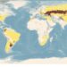World map distribution