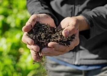 Agriculture is Both a Cause and a Victim of Climate Change- Mohamed Manssouri 7 Agriculture is Both a Cause and a Victim of Climate Change- Mohamed Manssouri