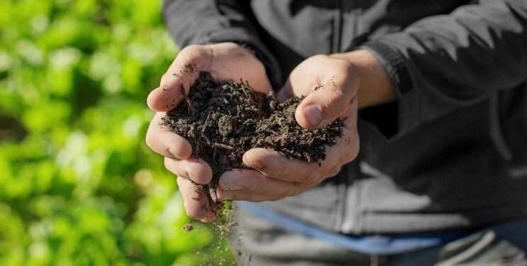 Decarbonization of agrifood system