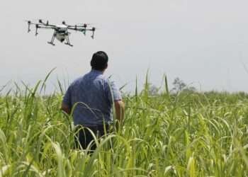 Agriculture has become technological, Invest in research and technology transfer- Research Scientist 1 Agriculture has become technological, Invest in research and technology transfer- Research Scientist