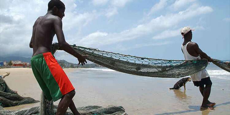 Fishers Appeal to Gov’t for Support as Fishing on The Weija Reservoir Becomes Unsafe 1 Fishermen at work