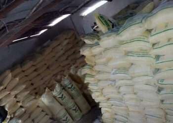 Skylink Agro Solutions Limited