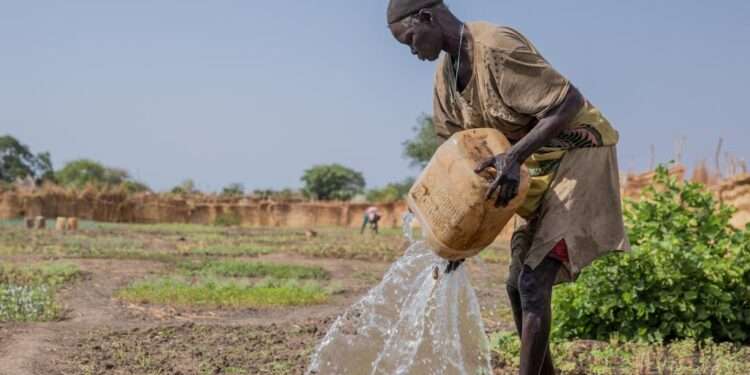 Sudanese farmer