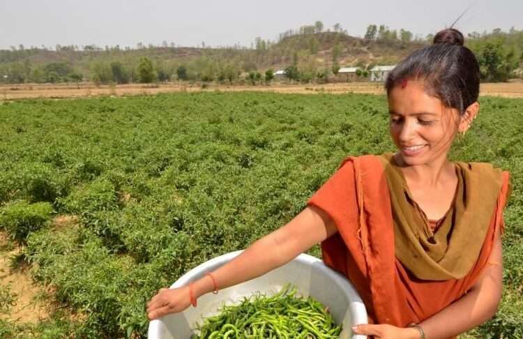 Mastercard Farm Pass to Digitalize Agricultural value chains in Africa 1 Smallholder farmer