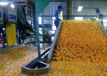 Savannah Region to be a Hub for Agro-Based Industries in Ghana- Minister 1 Savannah Region to be a Hub for Agro-Based Industries in Ghana- Minister