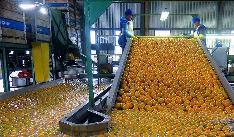 An agro-processing firm