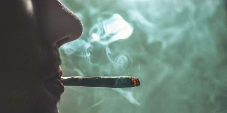 Legalized Cannabis Use Appears To Have Accelerated Daily Use And Related Health Impacts - UNODC