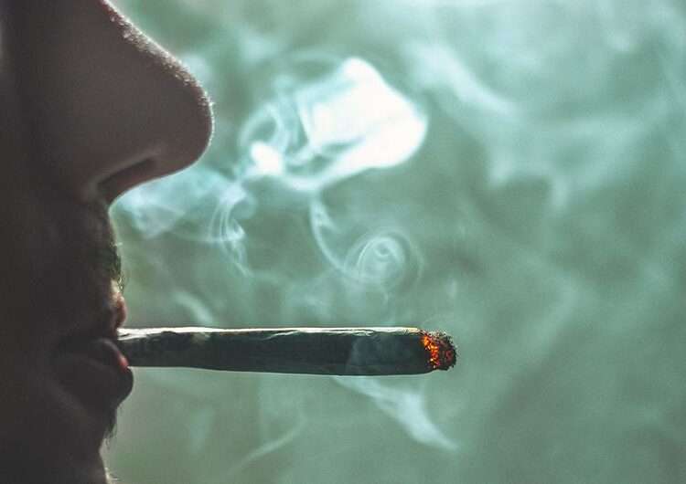 Legalized Cannabis Use Appears To Have Accelerated Daily Use And Related Health Impacts - UNODC 1 Legalized Cannabis Use Appears To Have Accelerated Daily Use And Related Health Impacts - UNODC