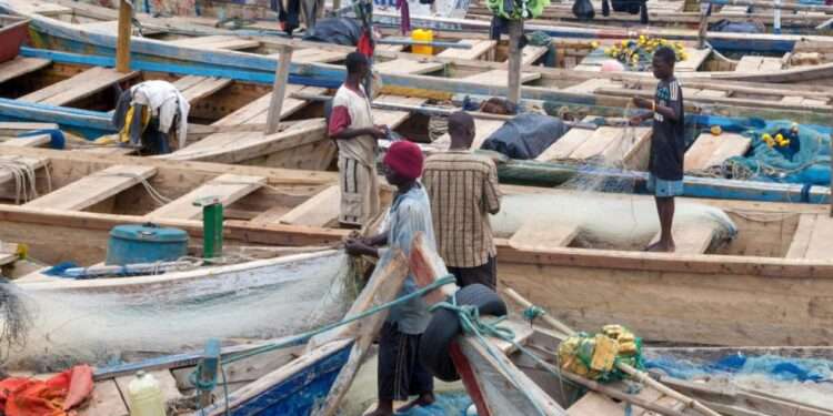 fisheries governance