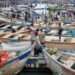 fisheries governance