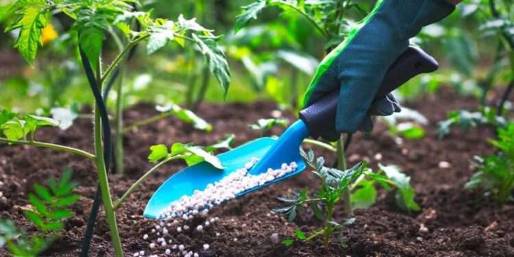 AFFM Extends $2m To ETG Inputs Ghana Limited To Boost Farmers’ Access To Fertilizers