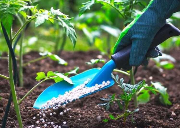 AFFM Extends $2m To ETG Inputs Ghana Limited To Boost Farmers’ Access To Fertilizers