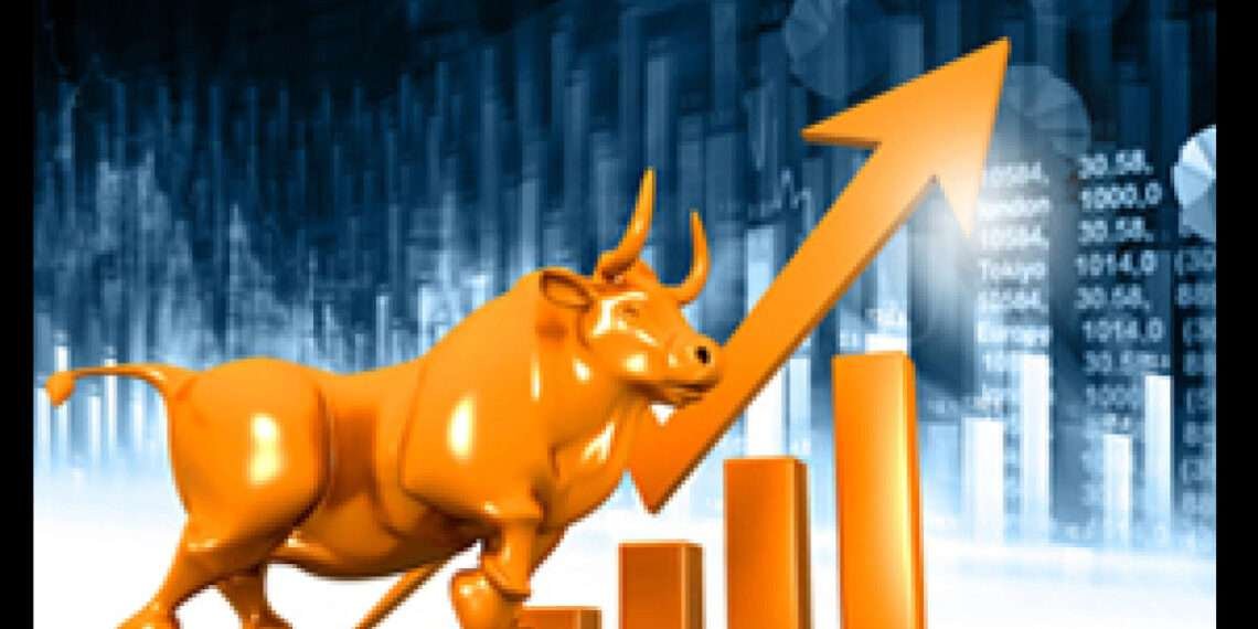Two Bulls Lift the Local Bourse Amidst Profit Taking Activities