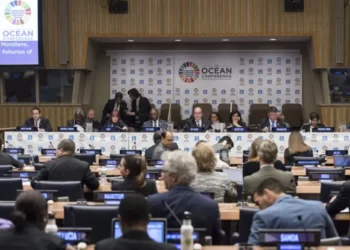Kenya to Co-host Ocean Conference, FAO Urge Stakeholders Ahead of Conference to Increase Ocean Actions 1 Kenya to Co-host Ocean Conference, FAO Urge Stakeholders Ahead of Conference to Increase Ocean Actions