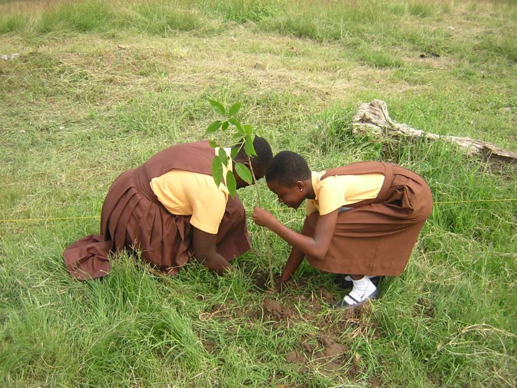 Tree Planting Does Not Necessarily Mean Restoration- Rainforest Alliance 2 ProjectUpdate 3012 photo 2013 05 18 09.10.54