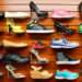 South Africa’s Clothing and Footwear Industry to Experience Strong Growth 12 clothing