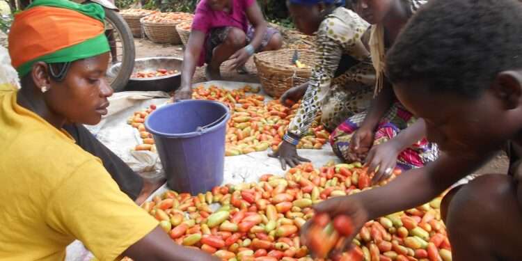 Women Farmers Urge Gov’t to Strengthen Agribusiness Value Chain 1 Women farmers