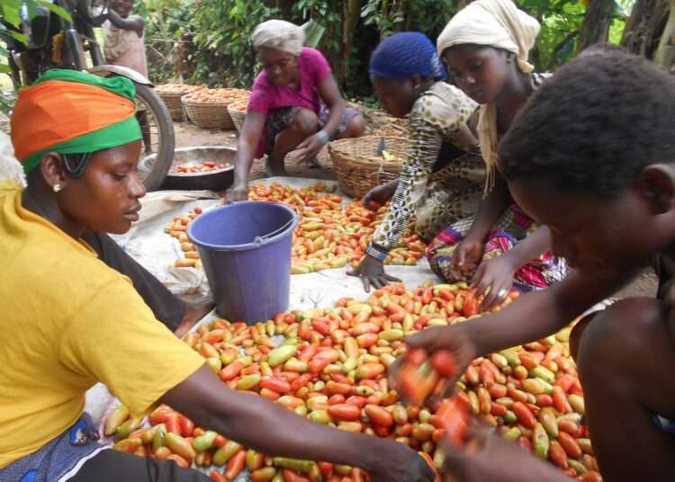 Women farmers