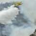 Heatwave: Outdoor Events Banned in Parts of France 13 There have been forest fires in Catalonia