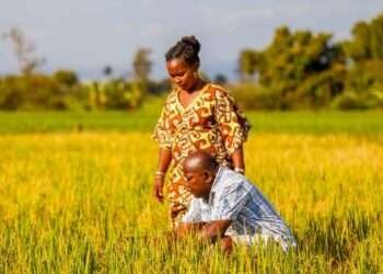 Agri-Stakeholders Train Farmers on Good Agricultural Practices 1 Agri-Stakeholders Train Farmers on Good Agricultural Practices