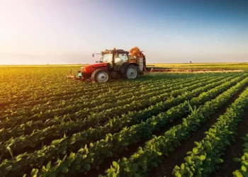 There is No Food Shortage in Ghana, Our Agriculture System is Robust and Healthy- Agric. Minister 1 There is No Food Shortage in Ghana, Our Agriculture System is Robust and Healthy- Agric. Minister
