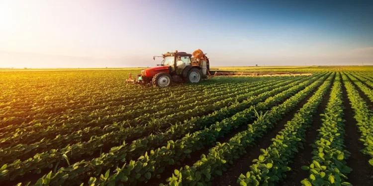 Ghana's agriculture is robust and healthy