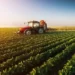 Ghana's agriculture is robust and healthy