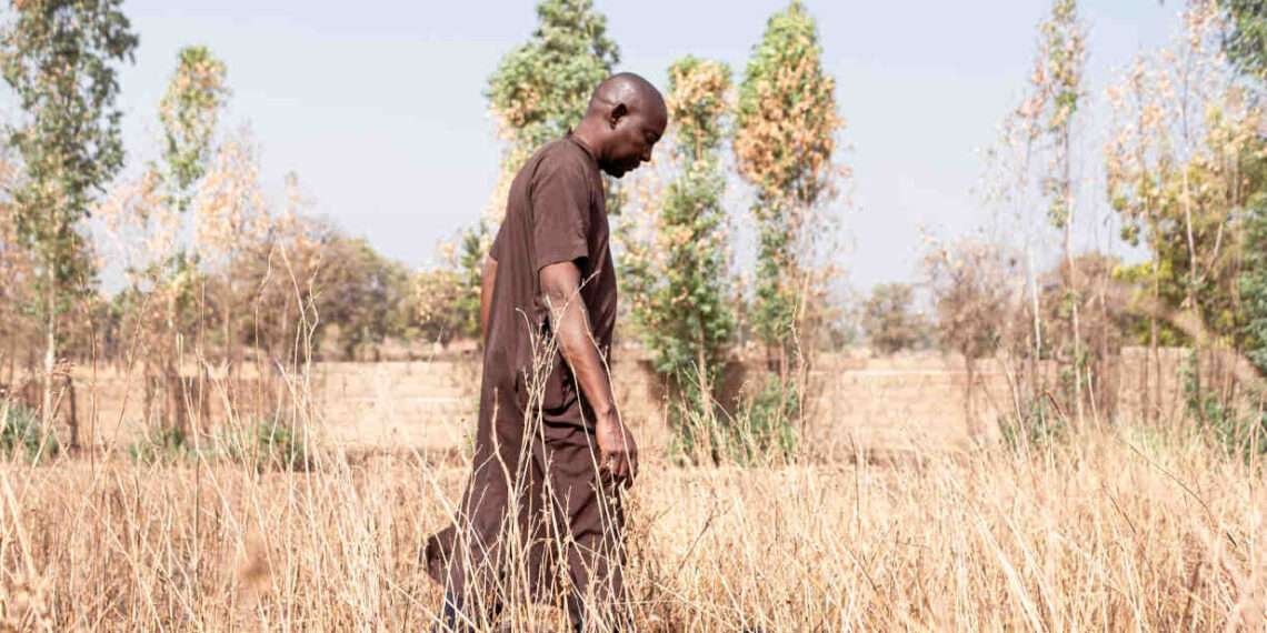 Malawi: African Development Bank Approves $9.25 Million For Climate Disaster Risk Program