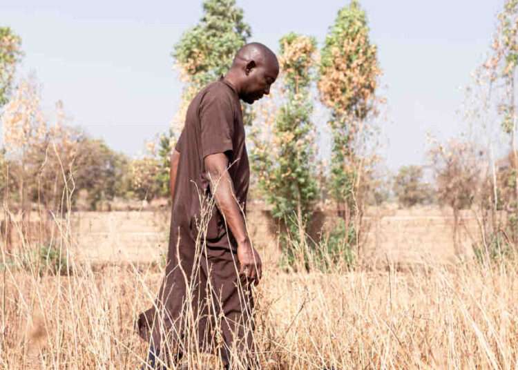 Malawi: African Development Bank Approves $9.25 Million For Climate Disaster Risk Program 1 Malawi: African Development Bank Approves $9.25 Million For Climate Disaster Risk Program