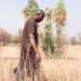 Malawi: African Development Bank Approves $9.25 Million For Climate Disaster Risk Program 12 Malawi: African Development Bank Approves $9.25 Million For Climate Disaster Risk Program
