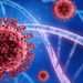 A Virologist at the Kumasi Centre for Collaborative Research (KCCR) Dr Michael Owusu, has disclosed that the country could potentially enter into a fifth wave in its fight against the Covdi-19 pandemic.