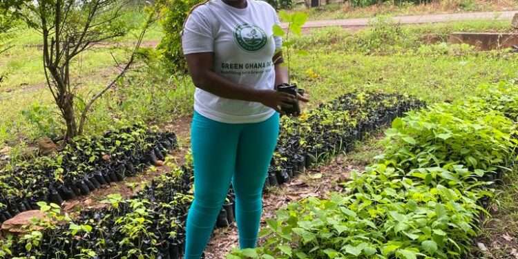Green Ghana Day Target exceeded