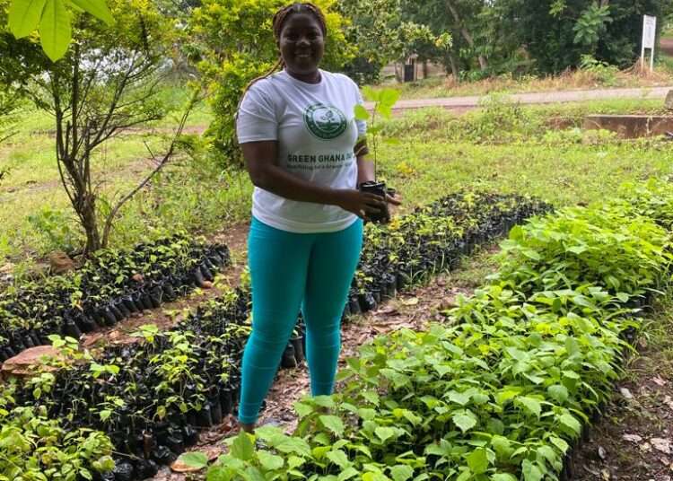 Green Ghana Day Target exceeded