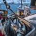 ‘Power to the Fishers Project’ Equips Ghanaian Fishers with Fishing Technology 12 Power to the fishers project