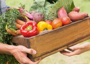 Uniting for food security