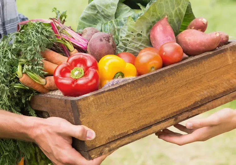 Uniting for food security