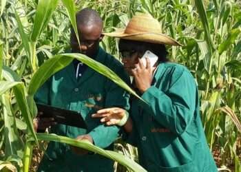 Maximize Government Initiatives, MCE to Ghanaian Youth 1 Youth in Agric